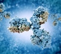 DNA Cassettes Enable Long-Lasting Antibody Production Directly Inside Patients