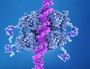 New Insights into How Mutant p53 Promotes Tumor Growth