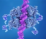 New Insights into How Mutant p53 Promotes Tumor Growth
