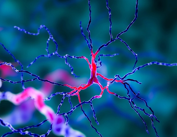 Rare Immune Cell Spatial DNA Maps Uncover Hidden Autoimmune Triggers