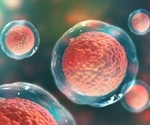 Gene Editing Using CRISPR and AAV6 Impacts Long-Term Regeneration of Blood Stem Cells