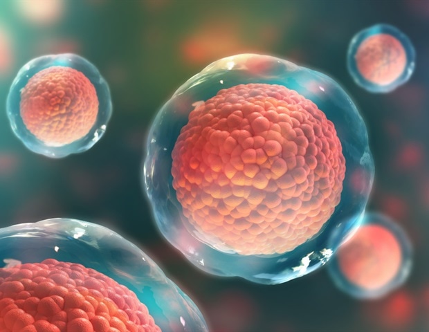 RNA Modifications Found to Guide Stem Cell Development into Retinal Cells