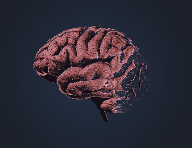 New Research Highlights Vascular Role in Alzheimer’s