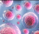 UCLA Researchers Reprogram Stem Cells to Produce Continuous Cancer-Fighting T Cells