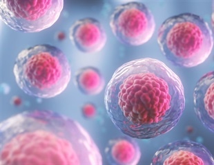 Super Stem Cells Offer New Hope for IVF and Regenerative Medicine