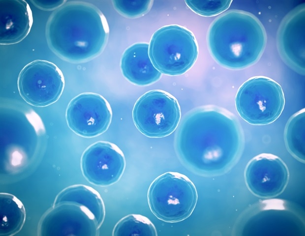 New Gene-Editing Strategy Ensures Quality Control in Stem Cell Therapies