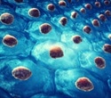 UCLA Researchers Reprogram Stem Cells to Produce Continuous Cancer-Fighting T Cells