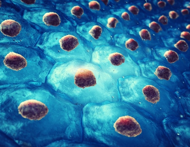 Aligned Stem Cell Sheets Show Boosted Healing Potential