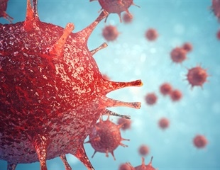 Researchers Uncover the FACT-ETS-1 Antiviral Response Pathway