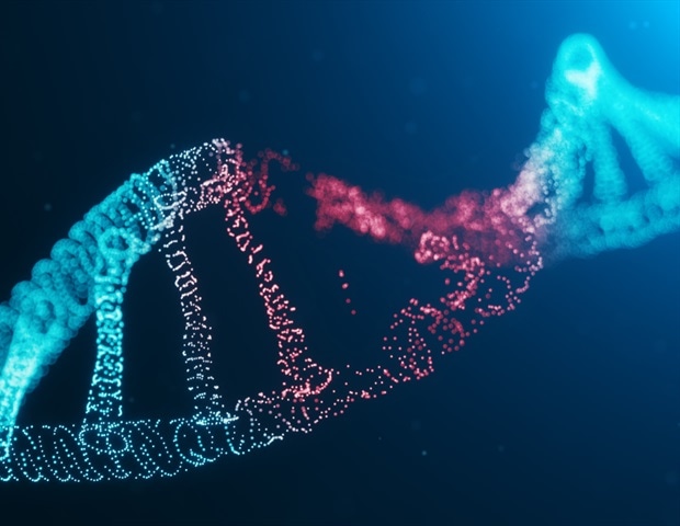 Researchers Analyze Somatic DNA Integrity across Complex Longevity Pathways