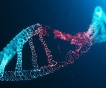 Reciprocal Regulatory Link Between ecDNA Maintenance and DNA Damage Response Revealed