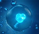 New Method Enables Human Cells to Initiate Meiosis Outside the Body