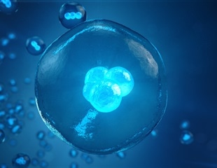 Precision Combination Therapy Better Controls High-Risk Subtypes of B-ALL in Mouse Models
