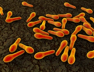 Study Uncovers Genes in Gut Microbe That Play Key Role in Early Colonization After Fecal Microbe Transplant