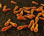 Study Uncovers Genes in Gut Microbe That Play Key Role in Early Colonization After Fecal Microbe Transplant