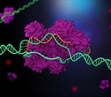 Innovative Alternative Gene Editing Approach May Be Safer Than CRISPR
