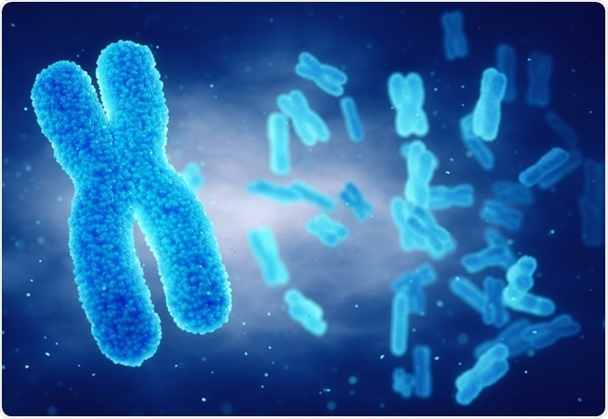 Phenomics is the organism scale study of genotype-phenotype relationships.