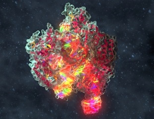 Deep Learning Model Accurately Predicts RNA-Targeting CRISPR Activity