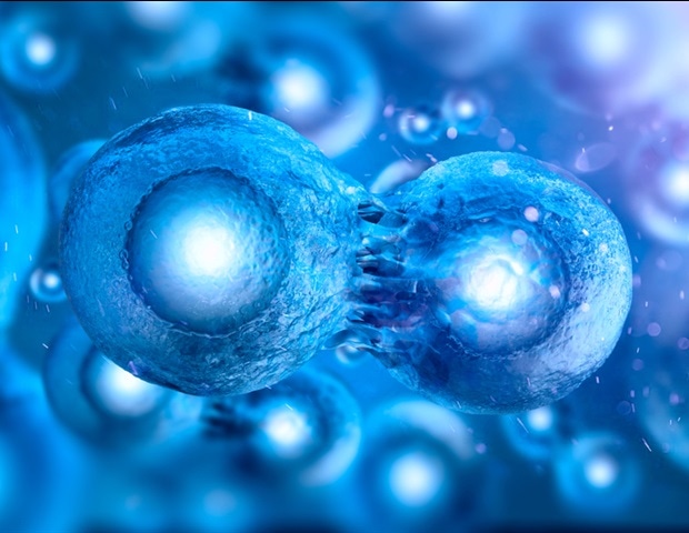 Gene Transcription Start Sites Identified as Hidden Mutational Hotspots