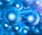 How LEM-3 Cleaves DNA Bridges During Cell Division Revealed