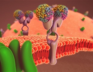 New Method Improves Quantification of Endocytosis in Living Cells