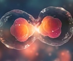 How LEM-3 Cleaves DNA Bridges During Cell Division Revealed