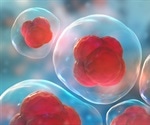 Thermo Fisher Scientific and Chan Zuckerberg Institute for Advanced Biological Imaging Collaborate to Further Understanding of Human Cells