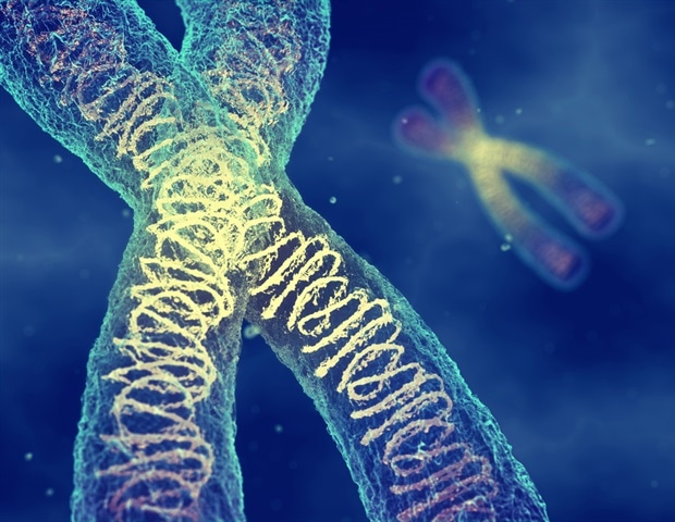New Genome Assembly Sheds Light on Tropical Vine's Invasive Success
