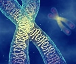 New Genome Assembly Sheds Light on Tropical Vine's Invasive Success