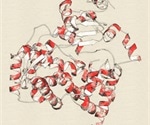 Scientists Discover New Pathway for Biosynthesis of Cardenolides in Plants