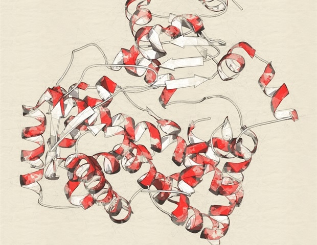 Open Sesame: Can Plants Acquire Genes from the Species They Parasitize On?