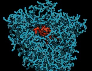 Unique Cytochrome Protein Holds Key to Plant Survival and Metabolism