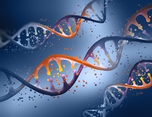 Genetic Clues Unveil New Insights into Restless Leg Syndrome
