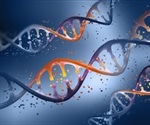 New Vector Systems Open the Door for Efficient Genetic Modification