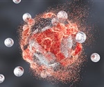 Scientists Identify Key Role of Proteasome in Cell Death