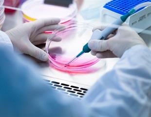 Researchers Develop Innovative Human Macrophage Model for Disease Study