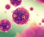 Infection with measles virus activates two different immune responses