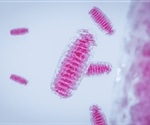Research Reveals Key Mitochondrial Role in Social Recognition Memory