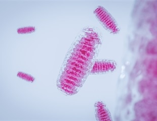 Mitochondria Found to Play Key Role in Balancing Cell Death and Inflammatory Response