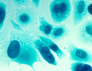 Omicron variant found to be less effective at blocking cellular defense mechanism against viruses