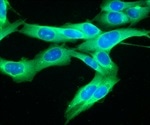 Inventia Life Science Accelerates Growth with AU$35 million Series B Led by Blackbird Ventures, Launching 3D Cell Culture Platform into US Market