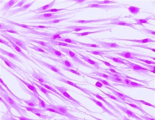 Combination drugs for COVID-19 show promise in laboratory tests
