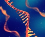 Discovery of RNA Brake Offers Insights into Neurodevelopmental Disorders