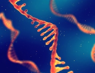 Discovery of RNA Brake Offers Insights into Neurodevelopmental Disorders