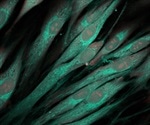 Inventia Life Science partners with Xylyx Bio to develop tissue-specific, digitally-printed bioinks for drug discovery