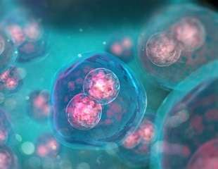 How LEM-3 Cleaves DNA Bridges During Cell Division Revealed