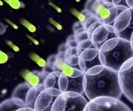 Study Reveals Gene Linked to Cold Resistance in Hibernating Mammals