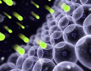 Magnetic Field Alteration of Radical Pair Quantum States Demonstrated in Live Organisms