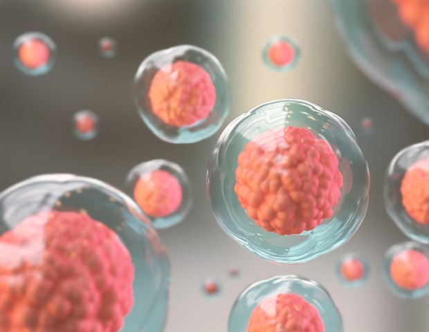 Visualizing Immune Synapses in Three Dimensions Using Cryo-Expansion Microscopy