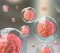Visualizing Immune Synapses in Three Dimensions Using Cryo-Expansion Microscopy